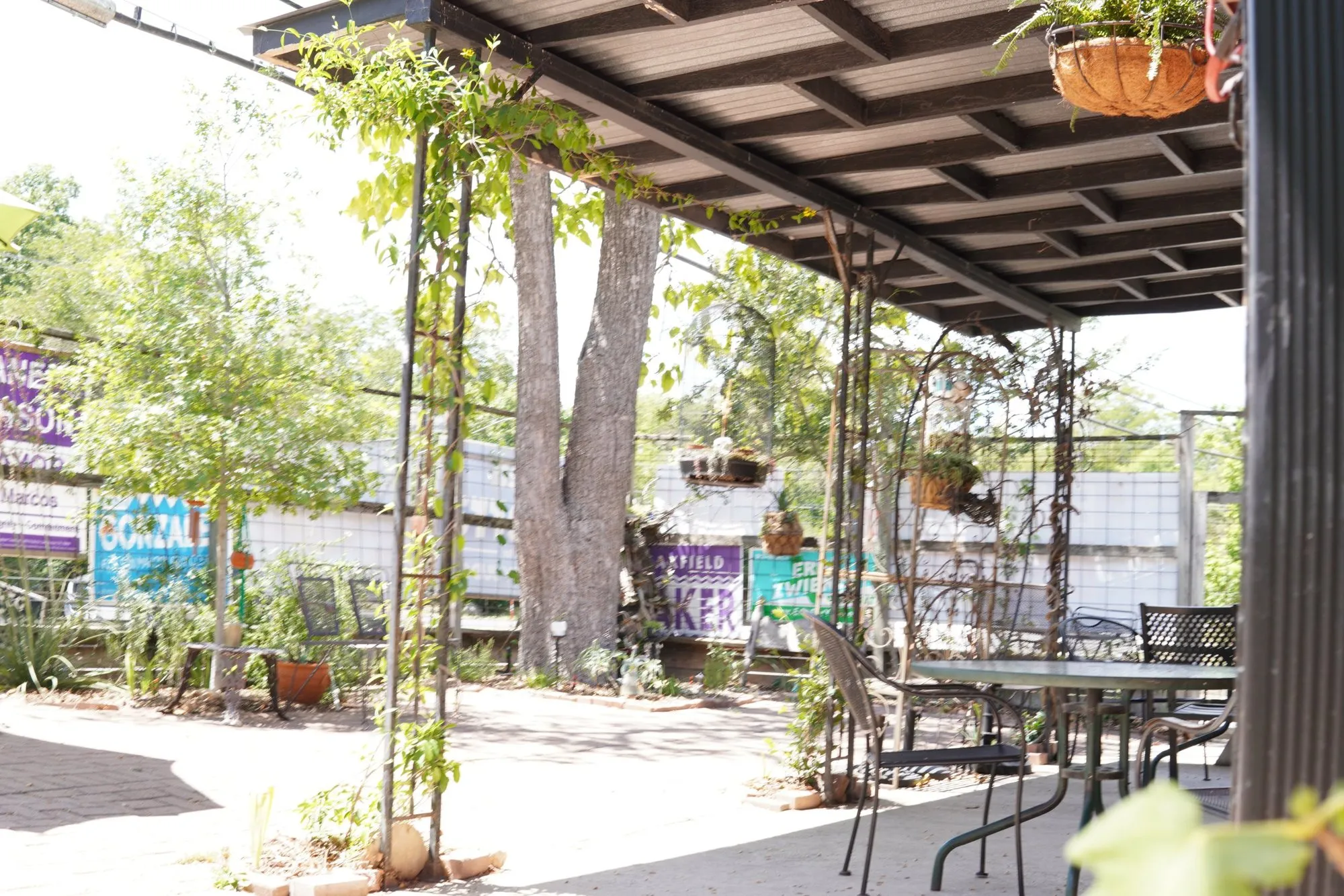The courtyard under the pergola, tables in the shade of big trees